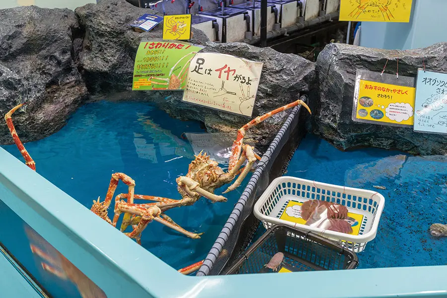 東三河で人が集う・繋がる場竹島水族館 - 株式会社イトコー