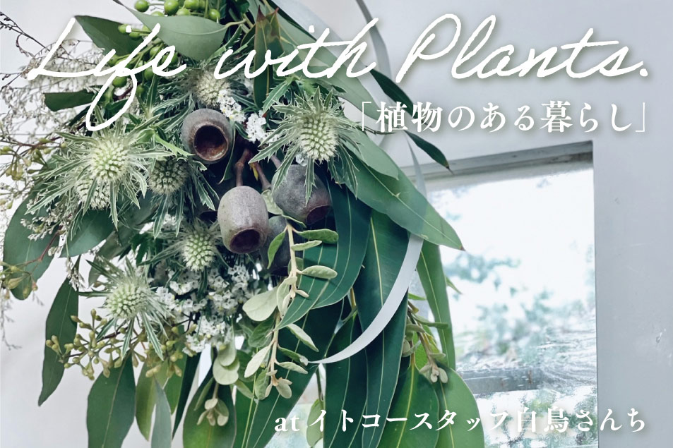 life_w_plants_thumb02