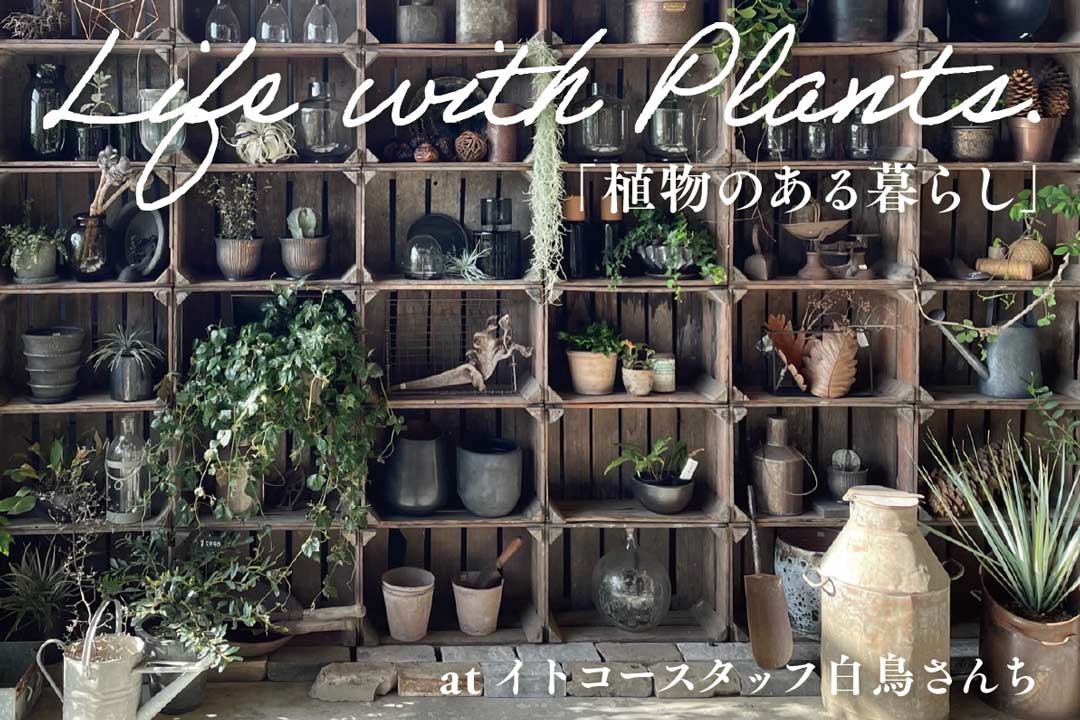 life_w_plants_thumb_s