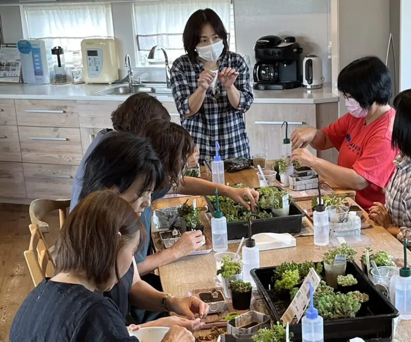多肉植物で箱庭作り」 - 株式会社イトコー